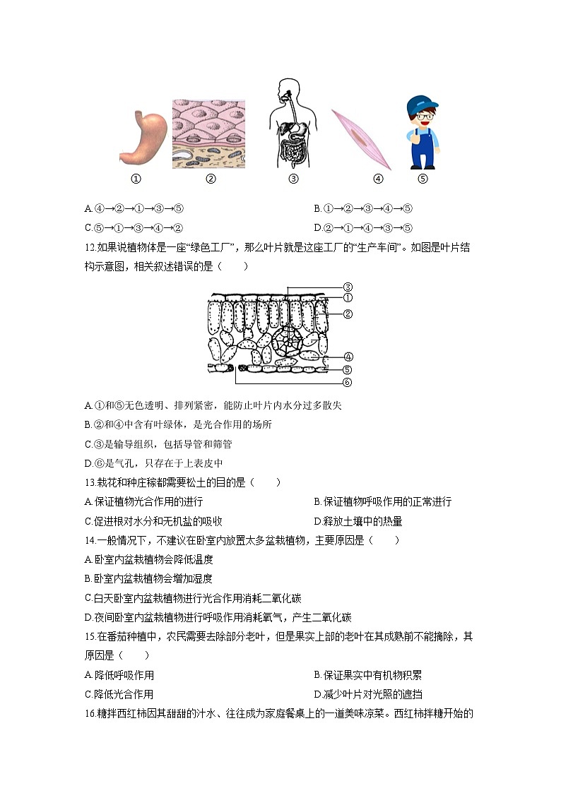2025-2026学年河南省安阳市滑县七年级上学期期末考试A卷生物试卷（学生版）第3页