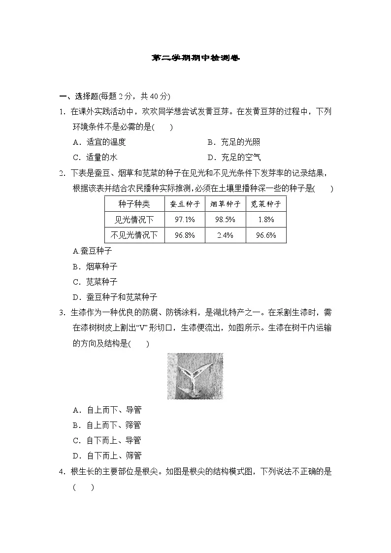 2025-2026学年人教版生物七年级第二学期期中检测卷（含答案）第1页