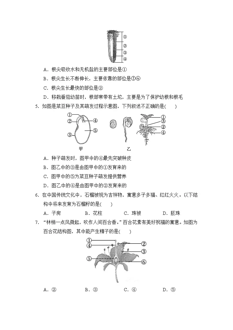2025-2026学年人教版生物七年级第二学期期中检测卷（含答案）第2页