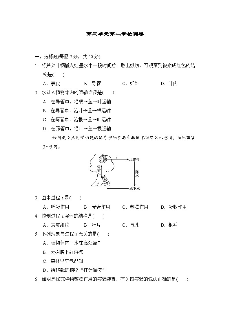 2025-2026学年人教版生物七年级下册第三单元第二章检测卷（含答案）第1页