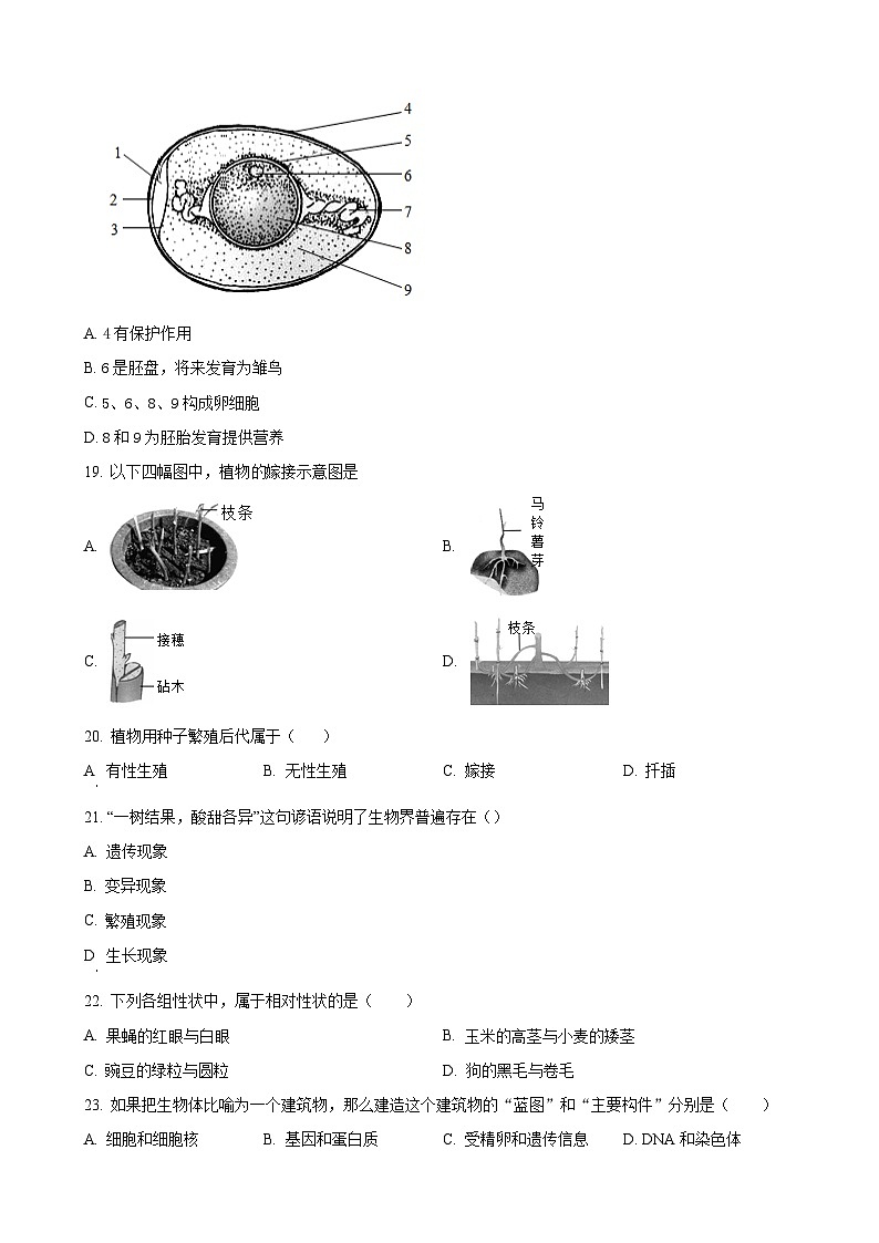 福建省龙岩市第五中学八年级上学期期中生物学试题（原卷版）-A4第3页