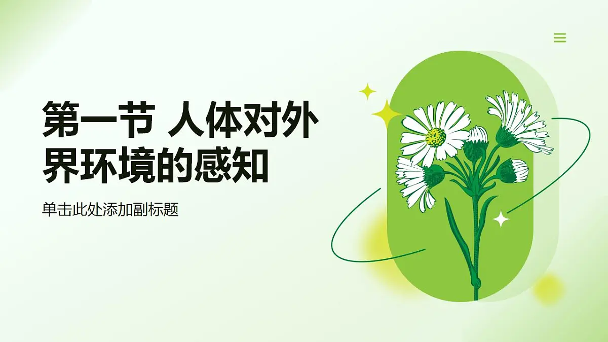 17826562第1页