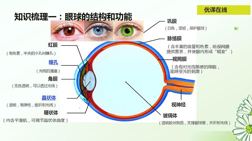 17826562第5页