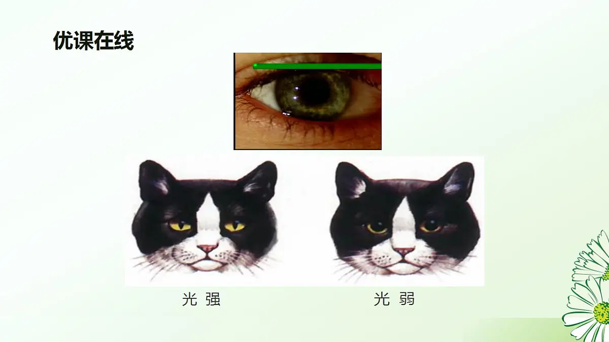 17826562第6页