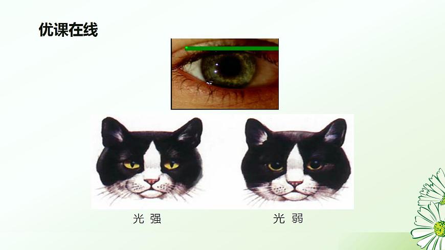 17826562第6页