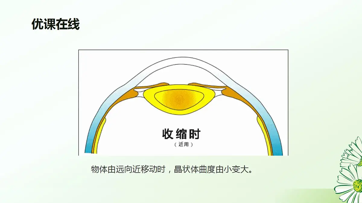 17826562第7页