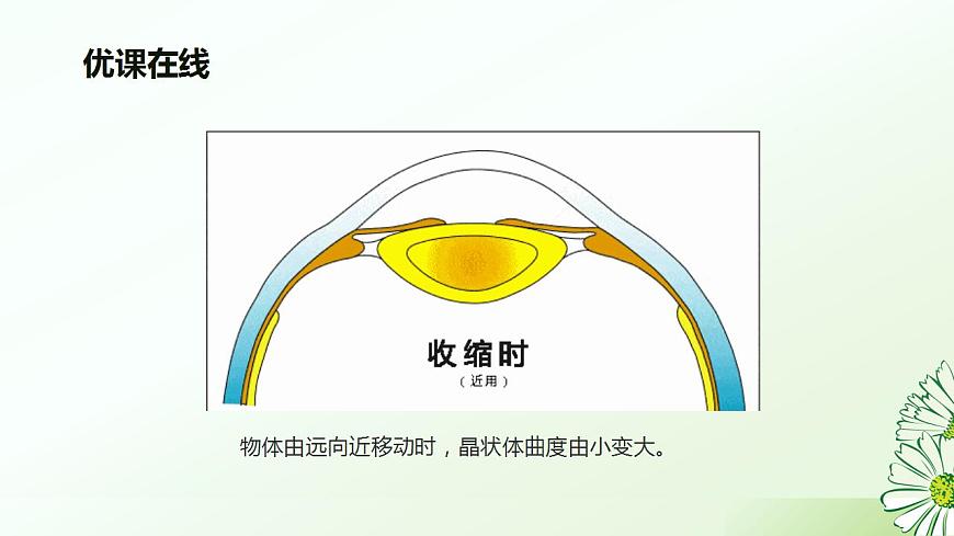 17826562第7页