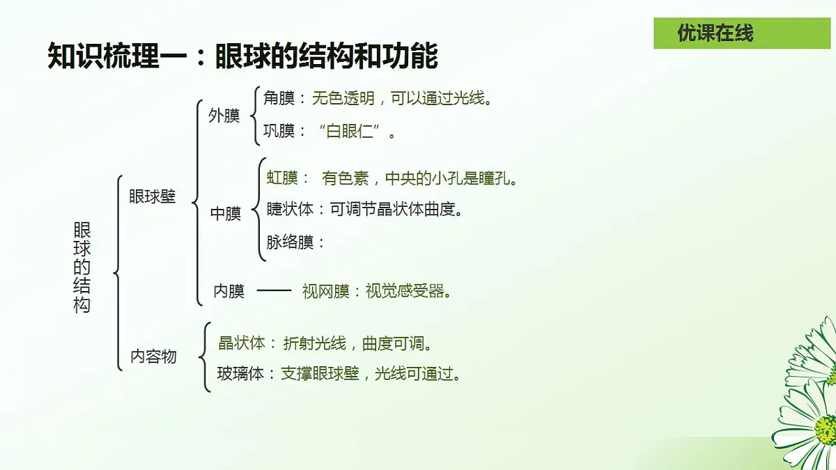 17826562第8页