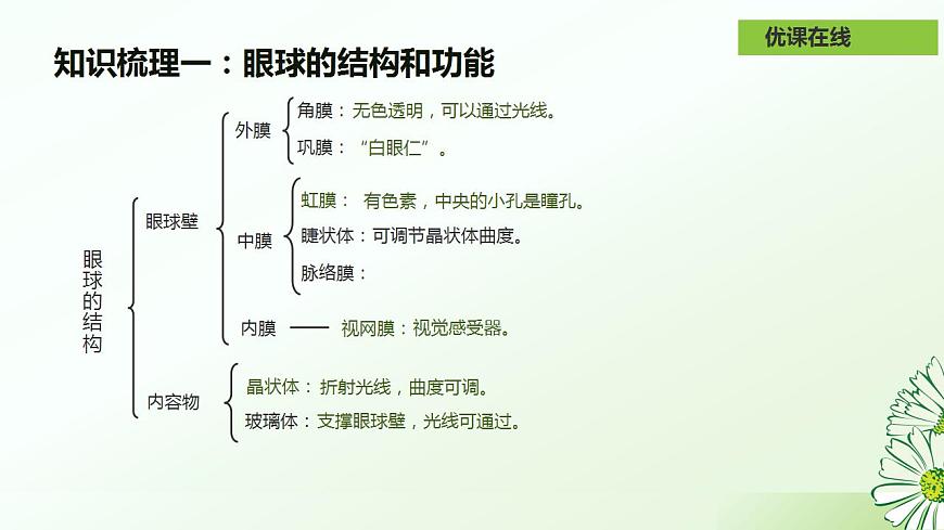 17826562第8页
