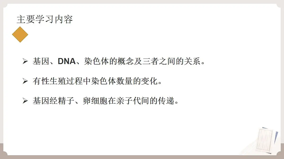 17826563第2页