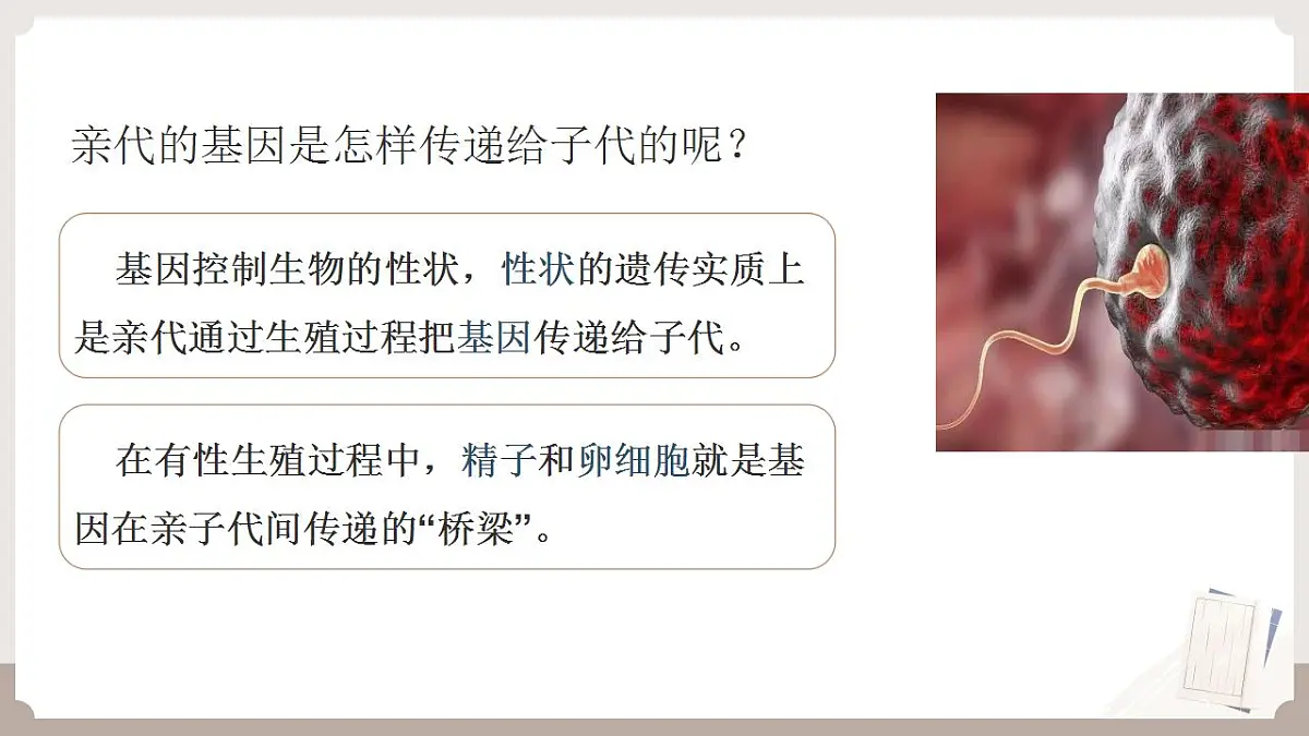 17826563第5页