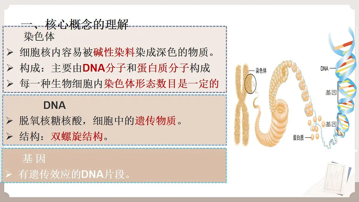 17826563第6页