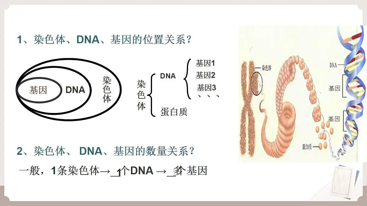 17826563第7页