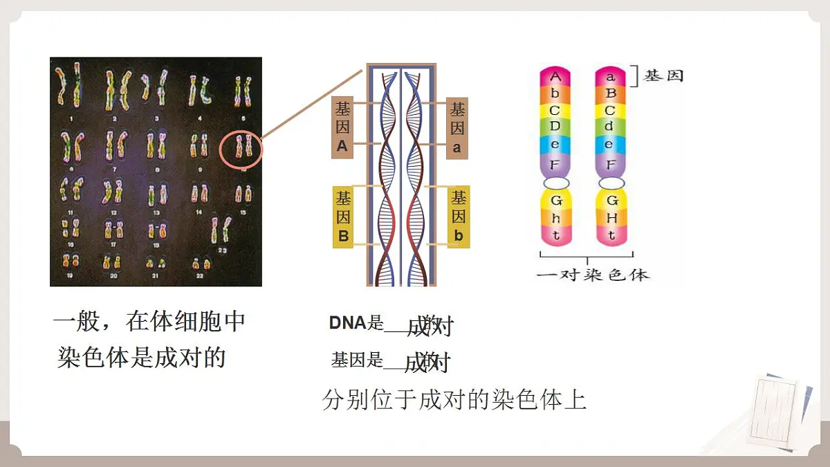 17826563第8页