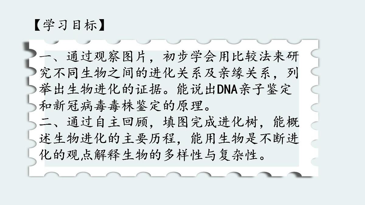 17826565第2页