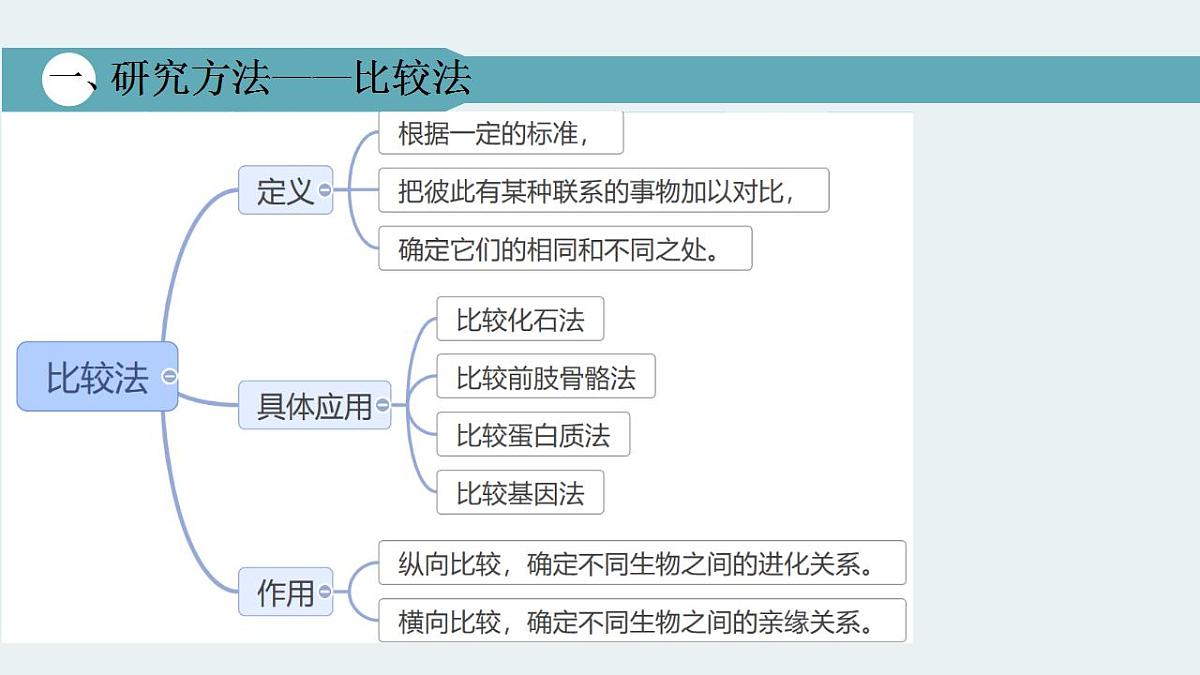 17826565第5页