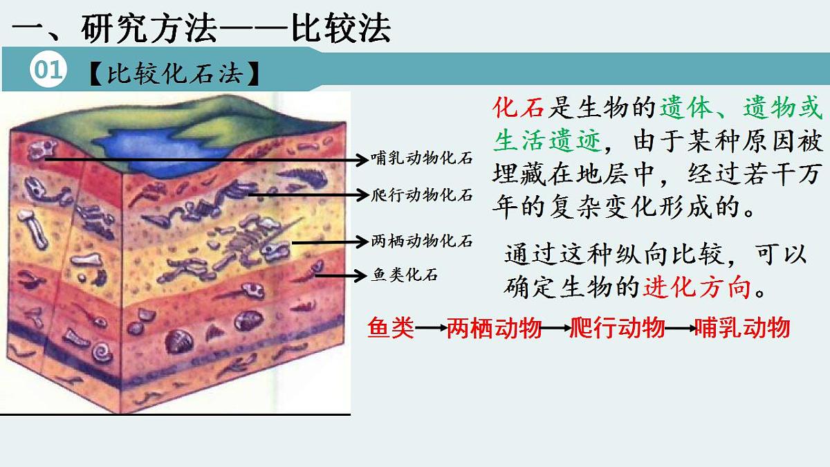 17826565第6页