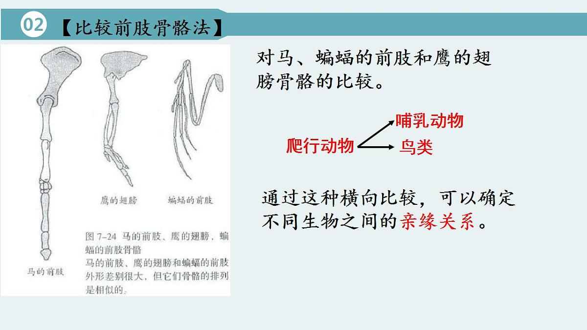 17826565第7页