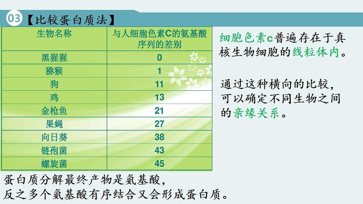 17826565第8页