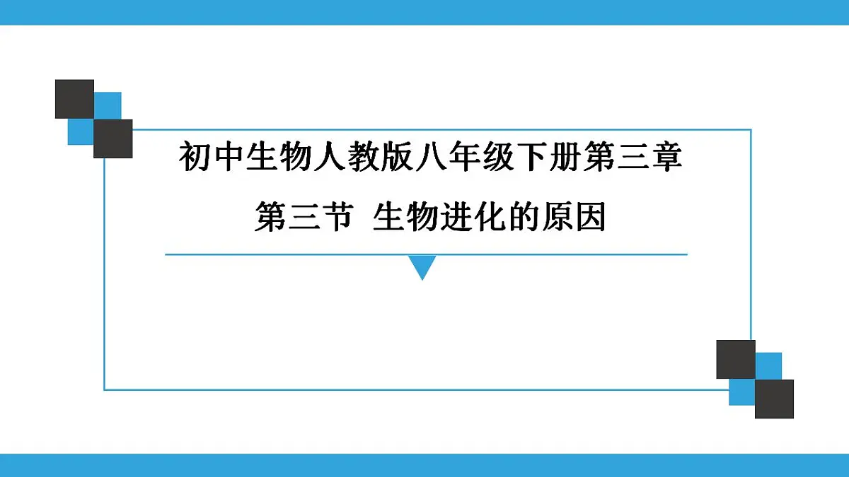 17826566第1页