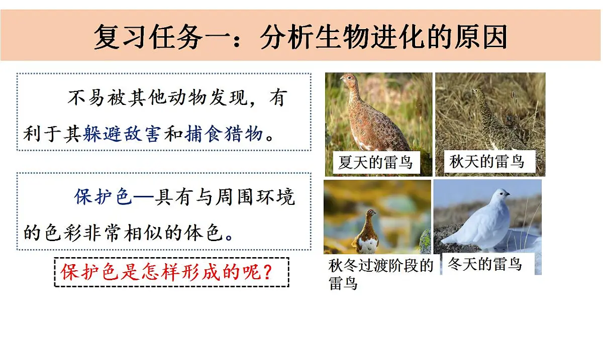 17826566第5页