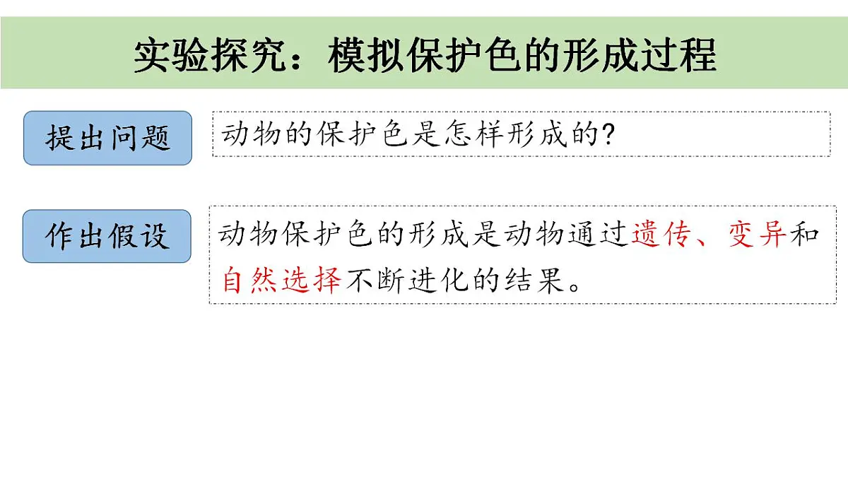 17826566第7页