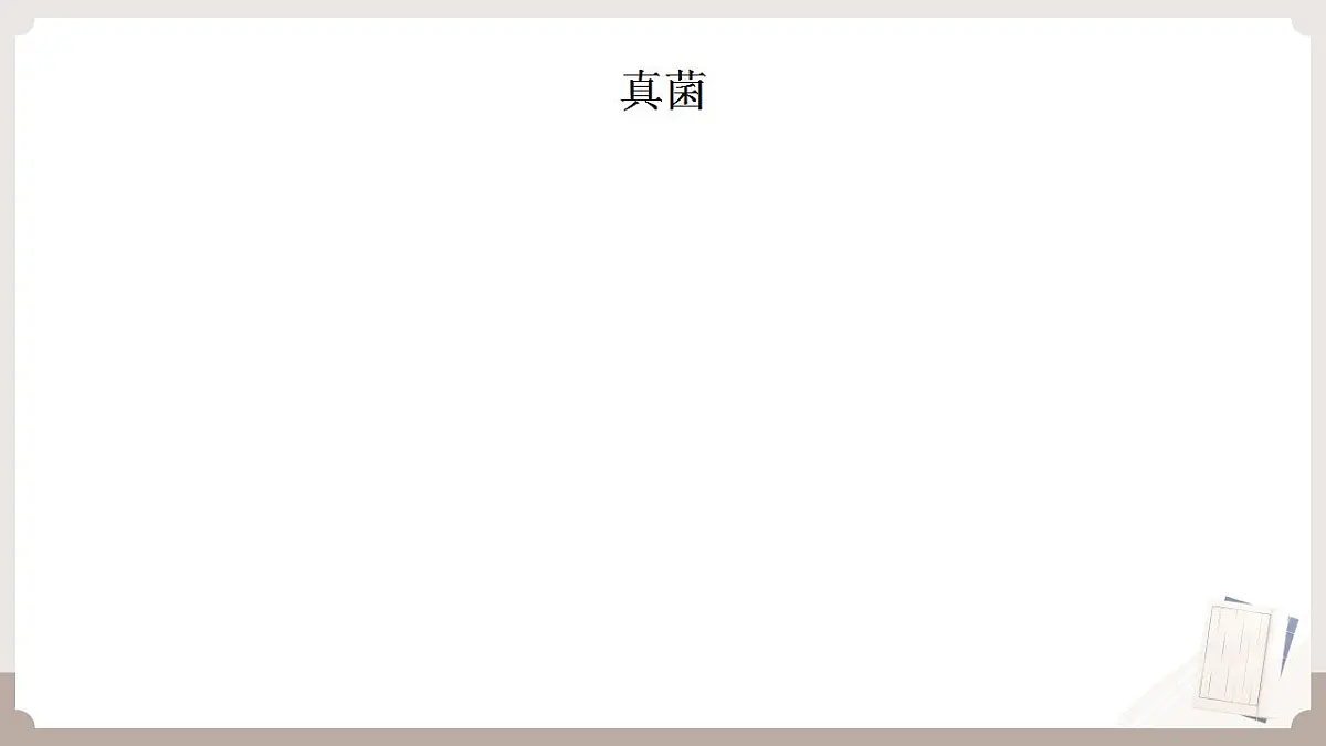 17826568第1页