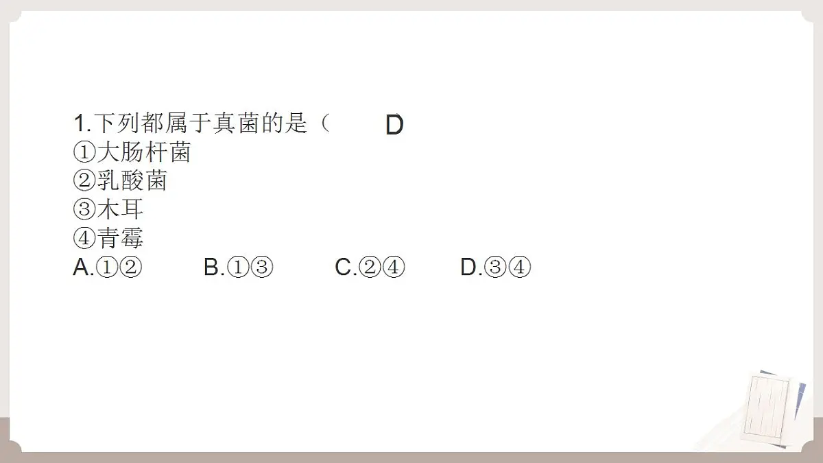 17826568第4页