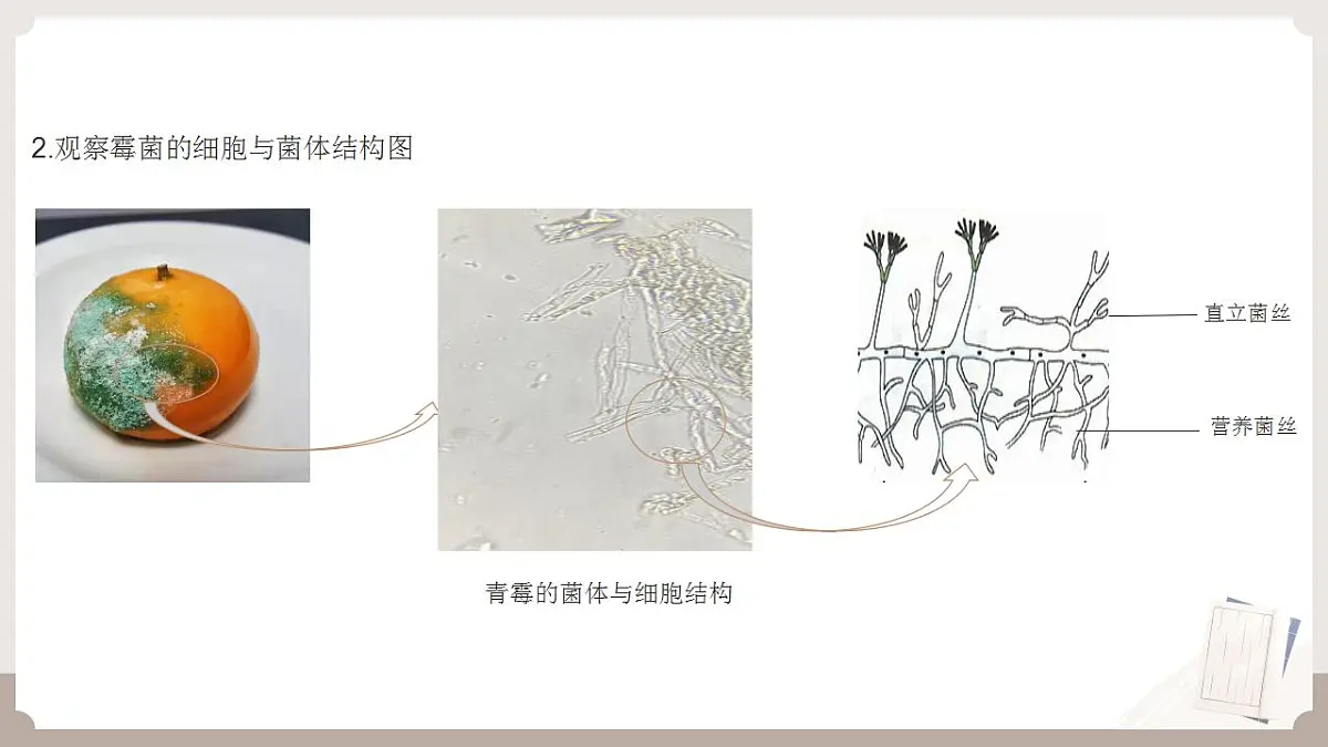 17826568第6页