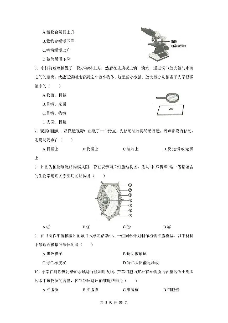 2024-2025学年深圳市七年级上册期末生物选择题专项练习汇编含答案第3页