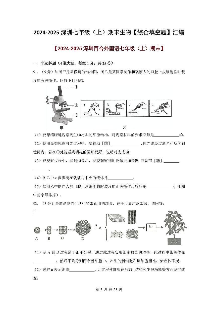 2024-2025学年深圳市七年级上册期末生物综合填空题专项练习汇编含答案第2页