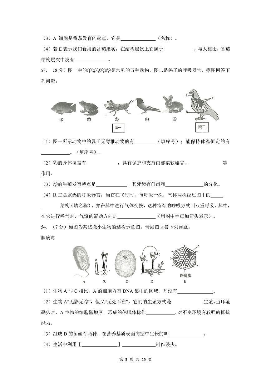 2024-2025学年深圳市七年级上册期末生物综合填空题专项练习汇编含答案第3页