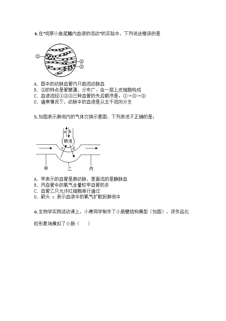 河南省安阳市滑县2024-2025学年七年级下学期期末生物试题第2页