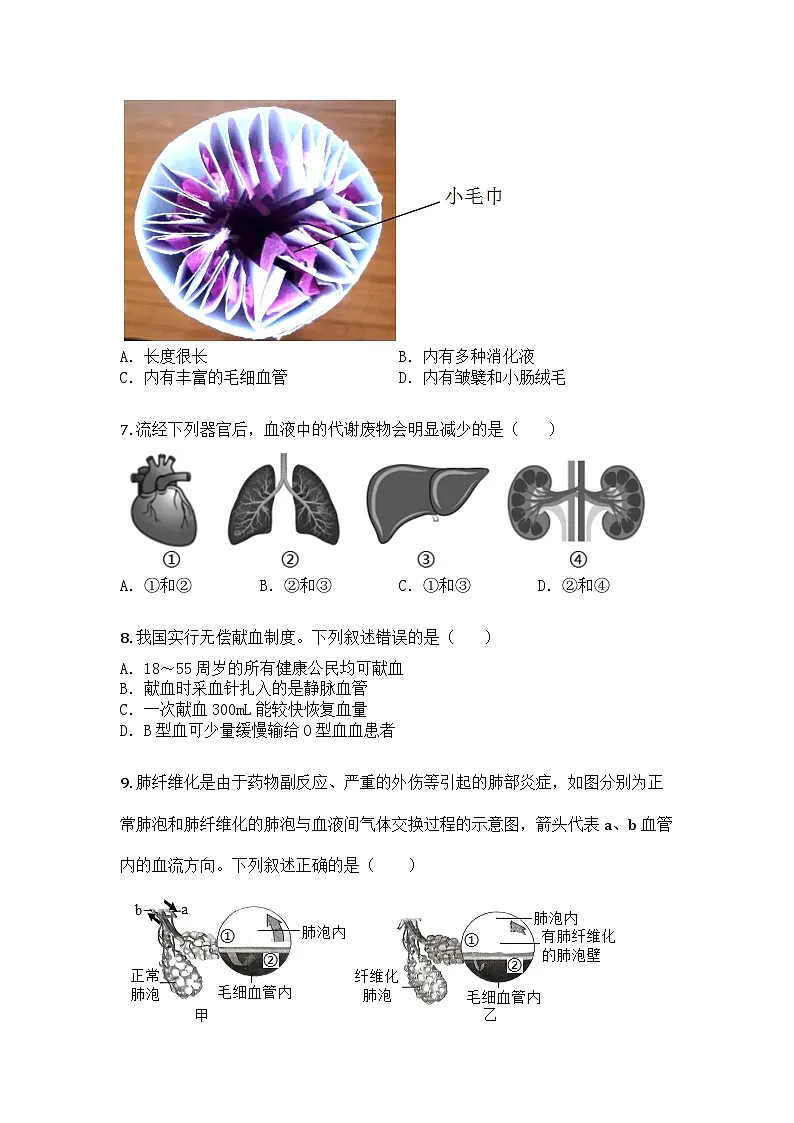 河南省安阳市滑县2024-2025学年七年级下学期期末生物试题第3页