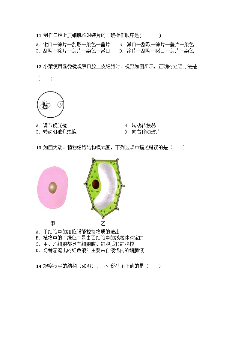 河南省安阳市内黄县2024-2025学年七年级上学期期末生物试题第3页