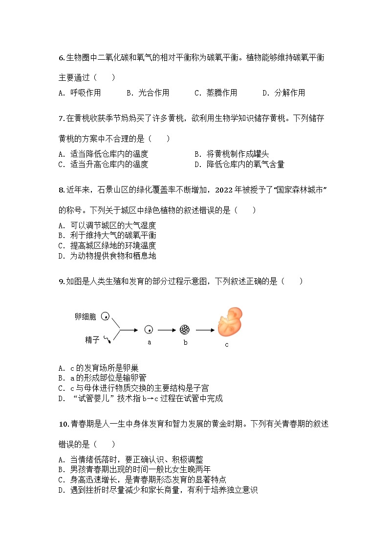 河南省鹤壁市2024-2025学年七年级下学期期末生物试题第2页