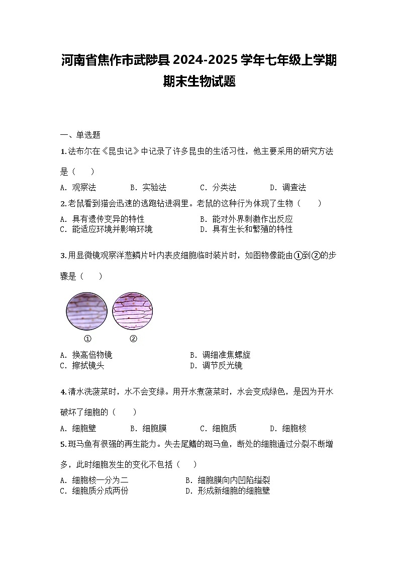 河南省焦作市武陟县2024-2025学年七年级上学期期末生物试题第1页