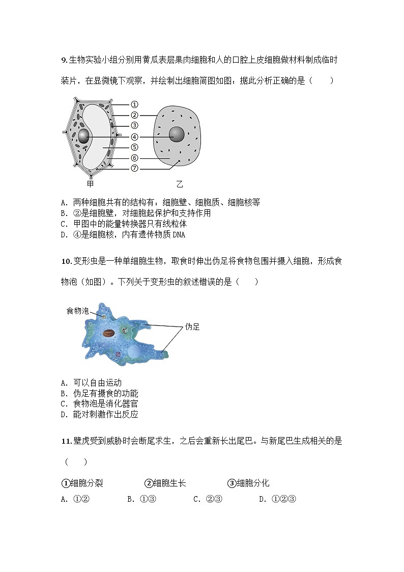 河南省开封市兰考县2024-2025学年七年级上学期期末生物试题第3页