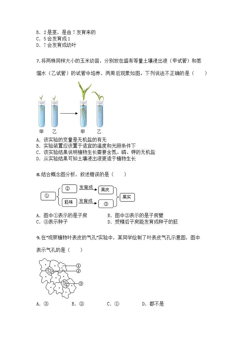 河南省开封市兰考县2024-2025学年七年级下学期期末生物试题第3页