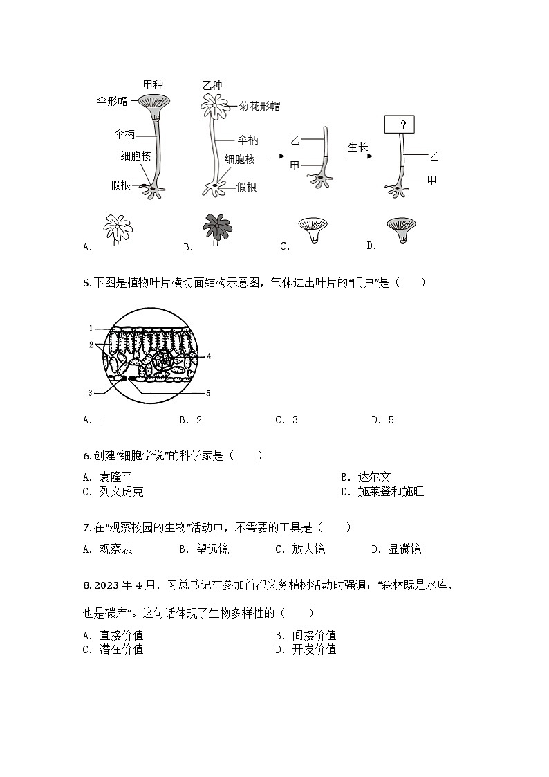 河南省开封市通许县2024-2025学年七年级上学期期末生物试题第2页