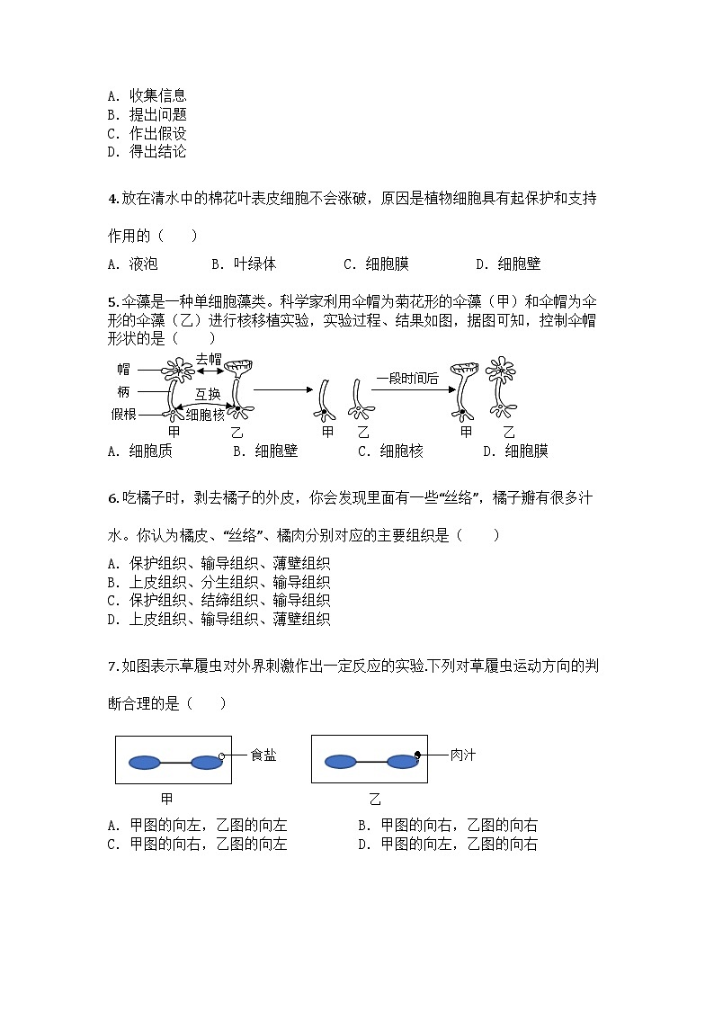河南省洛阳市汝阳县2024-2025学年七年级上学期期末生物试题第2页