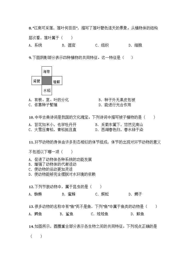河南省洛阳市汝阳县2024-2025学年七年级上学期期末生物试题第3页