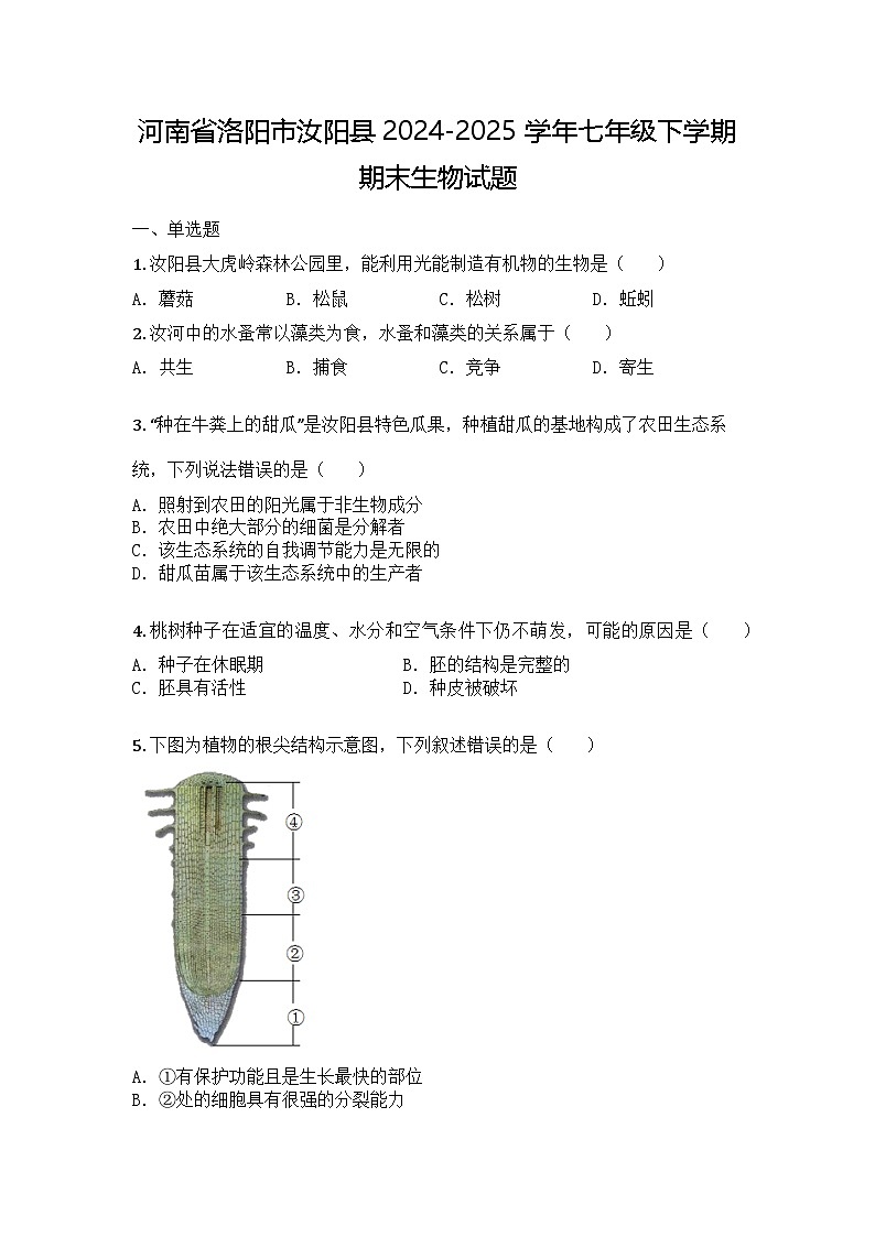 河南省洛阳市汝阳县2024-2025学年七年级下学期期末生物试题第1页