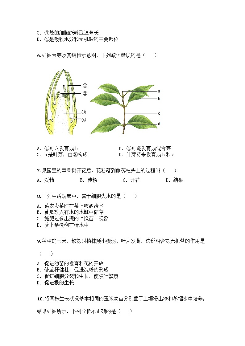 河南省洛阳市汝阳县2024-2025学年七年级下学期期末生物试题第2页