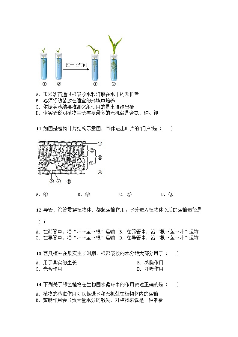 河南省洛阳市汝阳县2024-2025学年七年级下学期期末生物试题第3页