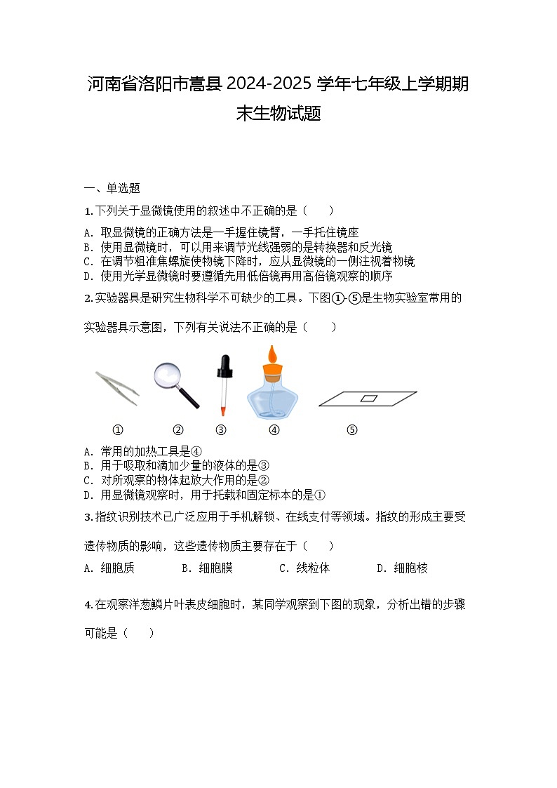 河南省洛阳市嵩县2024-2025学年七年级上学期期末生物试题第1页
