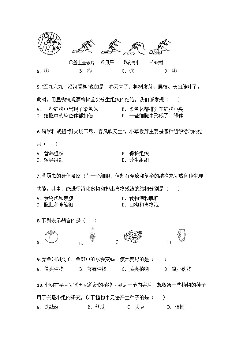 河南省洛阳市嵩县2024-2025学年七年级上学期期末生物试题第2页