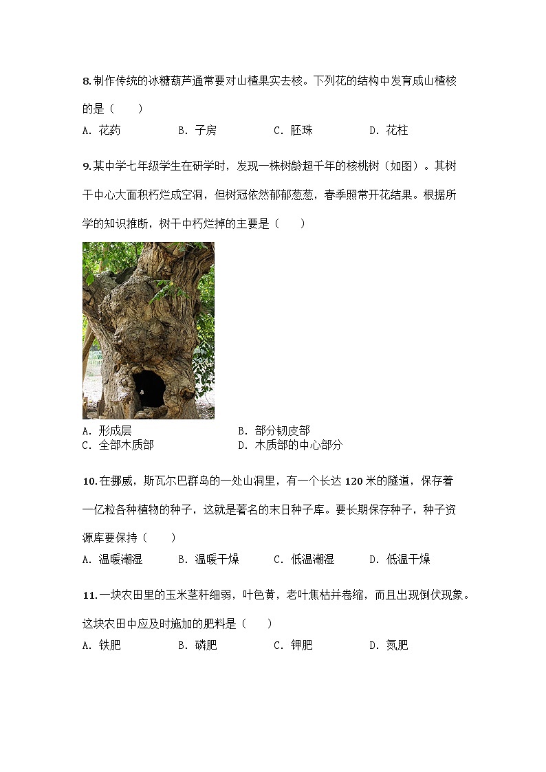 河南省洛阳市嵩县2024-2025学年七年级下学期期末生物试题第3页