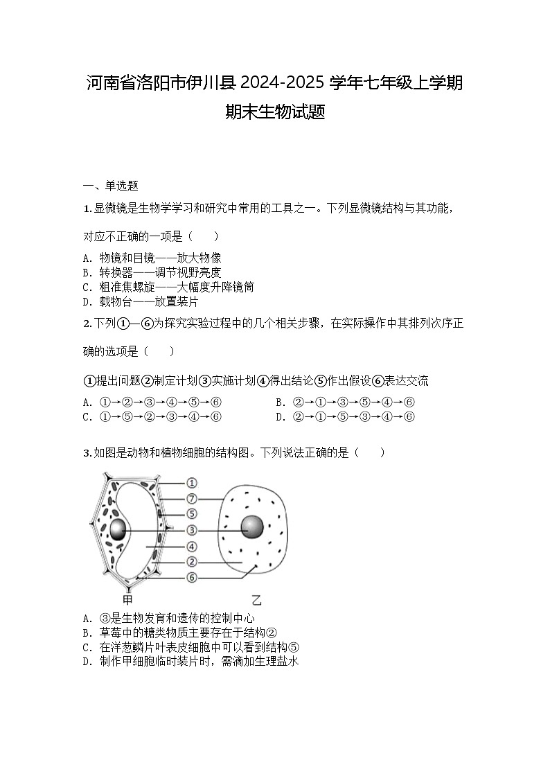 河南省洛阳市伊川县2024-2025学年七年级上学期期末生物试题第1页
