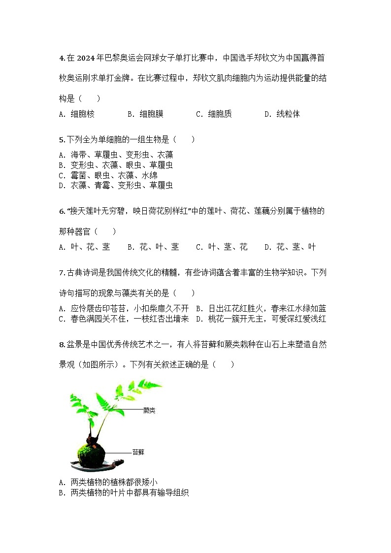 河南省洛阳市伊川县2024-2025学年七年级上学期期末生物试题第2页